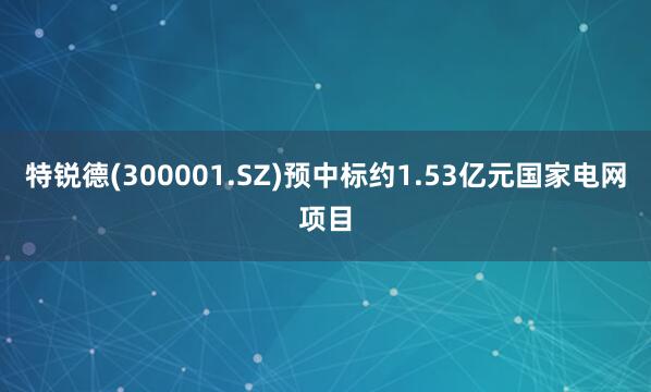 特锐德(300001.SZ)预中标约1.53亿元国家电网项目