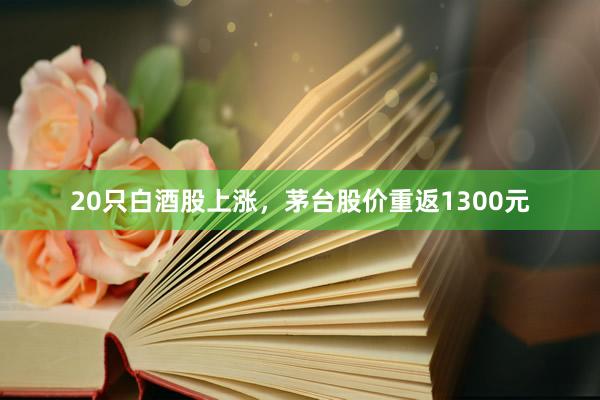 20只白酒股上涨，茅台股价重返1300元