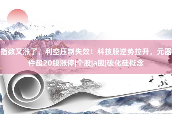 指数又涨了,利空压制失效!科技股逆势拉升,元器件超20股涨停|个股|a股|碳化硅概念