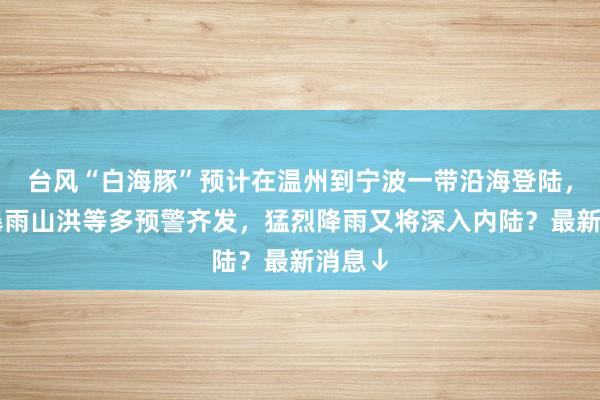 台风“白海豚”预计在温州到宁波一带沿海登陆，台风暴雨山洪等多预警齐发，猛烈降雨又将深入内陆？最新消息↓