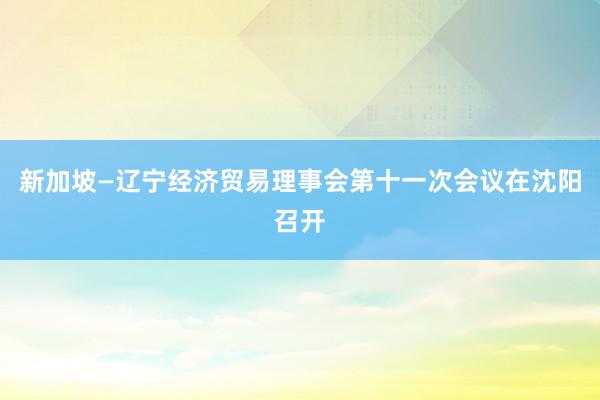 新加坡—辽宁经济贸易理事会第十一次会议在沈阳召开