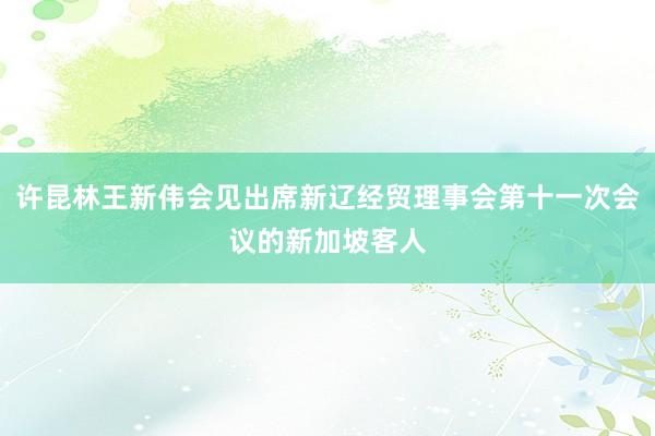 许昆林王新伟会见出席新辽经贸理事会第十一次会议的新加坡客人
