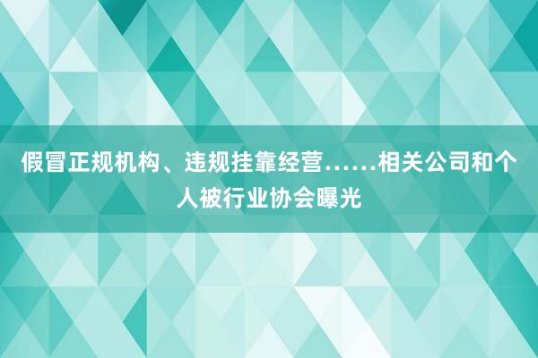 假冒正规机构、违规挂靠经营……相关公司和个人被行业协会曝光