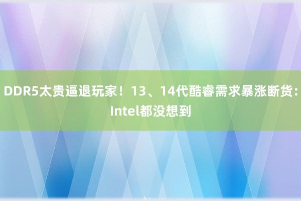 DDR5太贵逼退玩家！13、14代酷睿需求暴涨断货：Intel都没想到