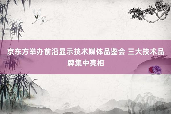 京东方举办前沿显示技术媒体品鉴会 三大技术品牌集中亮相