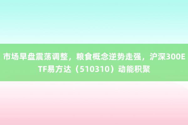 市场早盘震荡调整，粮食概念逆势走强，沪深300ETF易方达（510310）动能积聚