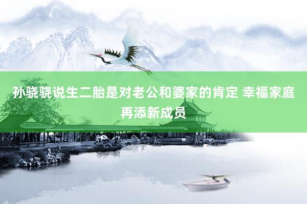 孙骁骁说生二胎是对老公和婆家的肯定 幸福家庭再添新成员
