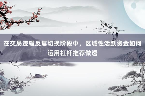 在交易逻辑反复切换阶段中，区域性活跃资金如何运用杠杆推荐做透