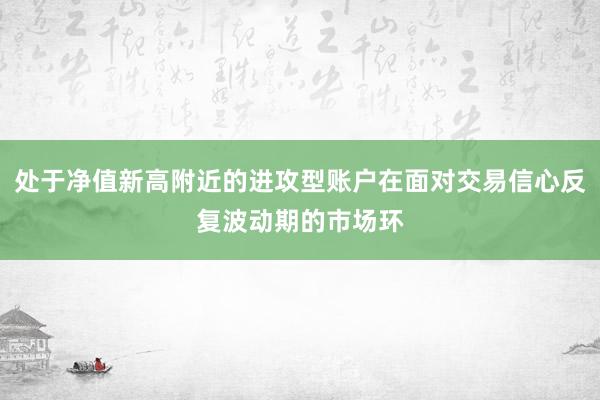 处于净值新高附近的进攻型账户在面对交易信心反复波动期的市场环