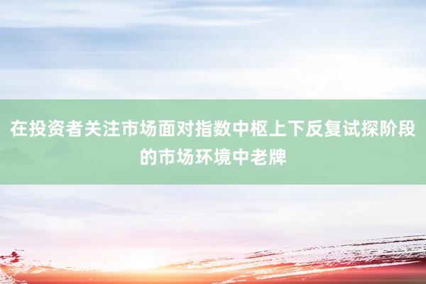 在投资者关注市场面对指数中枢上下反复试探阶段的市场环境中老牌