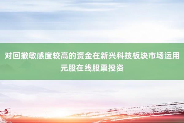 对回撤敏感度较高的资金在新兴科技板块市场运用元股在线股票投资