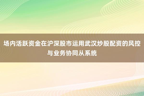 场内活跃资金在沪深股市运用武汉炒股配资的风控与业务协同从系统