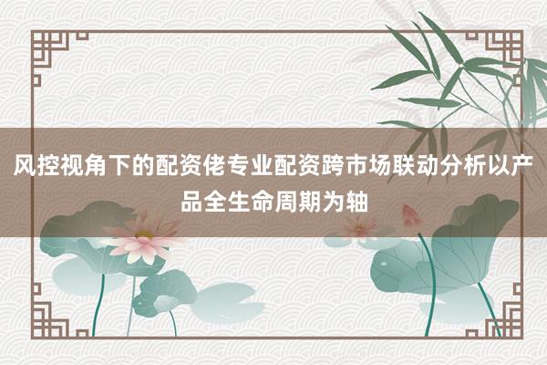 风控视角下的配资佬专业配资跨市场联动分析以产品全生命周期为轴