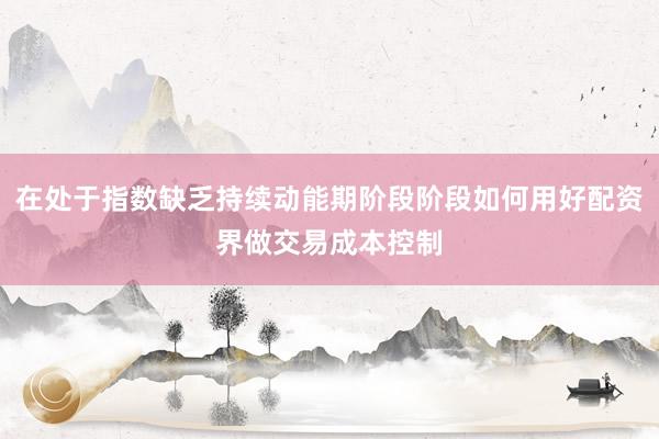 在处于指数缺乏持续动能期阶段阶段如何用好配资界做交易成本控制