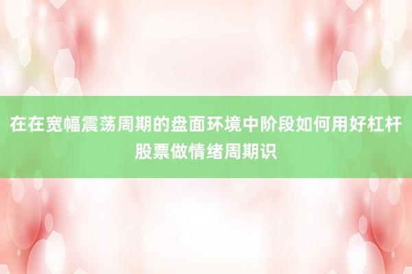 在在宽幅震荡周期的盘面环境中阶段如何用好杠杆股票做情绪周期识
