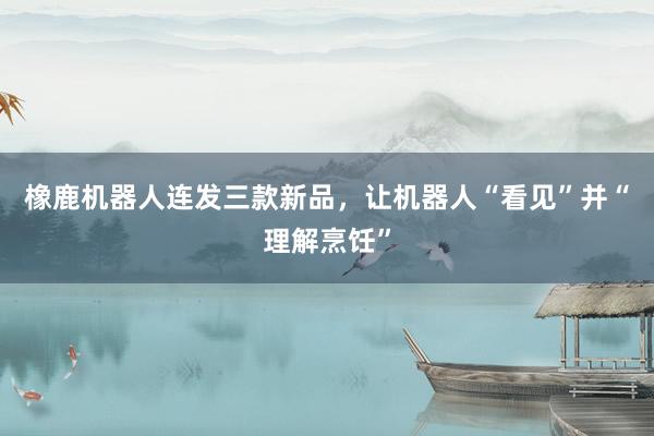 橡鹿机器人连发三款新品，让机器人“看见”并“理解烹饪”