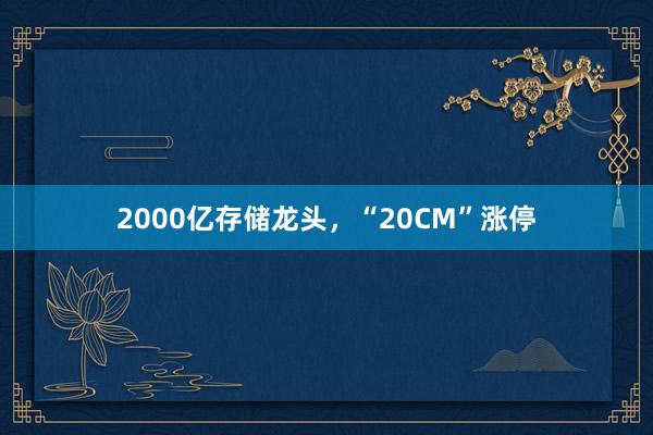 2000亿存储龙头，“20CM”涨停