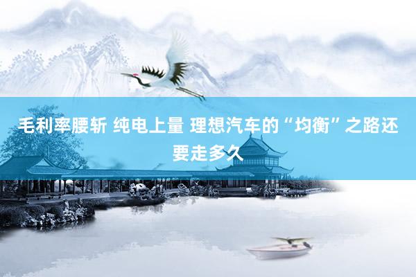 毛利率腰斩 纯电上量 理想汽车的“均衡”之路还要走多久