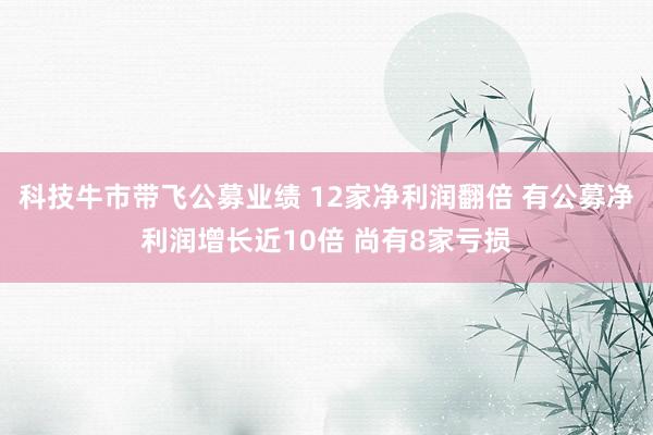 科技牛市带飞公募业绩 12家净利润翻倍 有公募净利润增长近10倍 尚有8家亏损