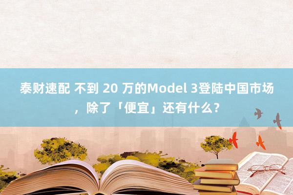 泰财速配 不到 20 万的Model 3登陆中国市场，除了「便宜」还有什么？