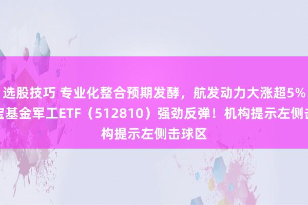 选股技巧 专业化整合预期发酵，航发动力大涨超5%！华宝基金军工ETF（512810）强劲反弹！机构提示左侧击球区