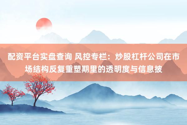配资平台实盘查询 风控专栏：炒股杠杆公司在市场结构反复重塑期里的透明度与信息披