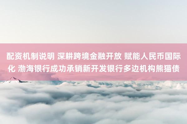 配资机制说明 深耕跨境金融开放 赋能人民币国际化 渤海银行成功承销新开发银行多边机构熊猫债