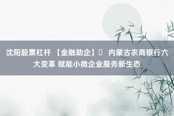 沈阳股票杠杆 【金融助企】⑬ 内蒙古农商银行六大变革 赋能小微企业服务新生态