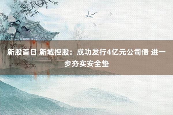 新股首日 新城控股：成功发行4亿元公司债 进一步夯实安全垫