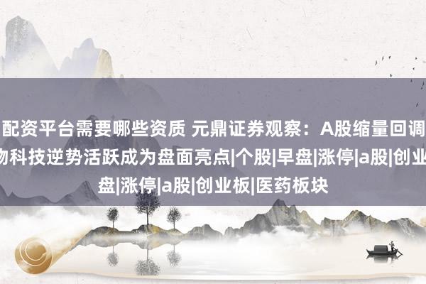 配资平台需要哪些资质 元鼎证券观察：A股缩量回调，PCB与生物科技逆势活跃成为盘面亮点|个股|早盘|涨停|a股|创业板|医药板块